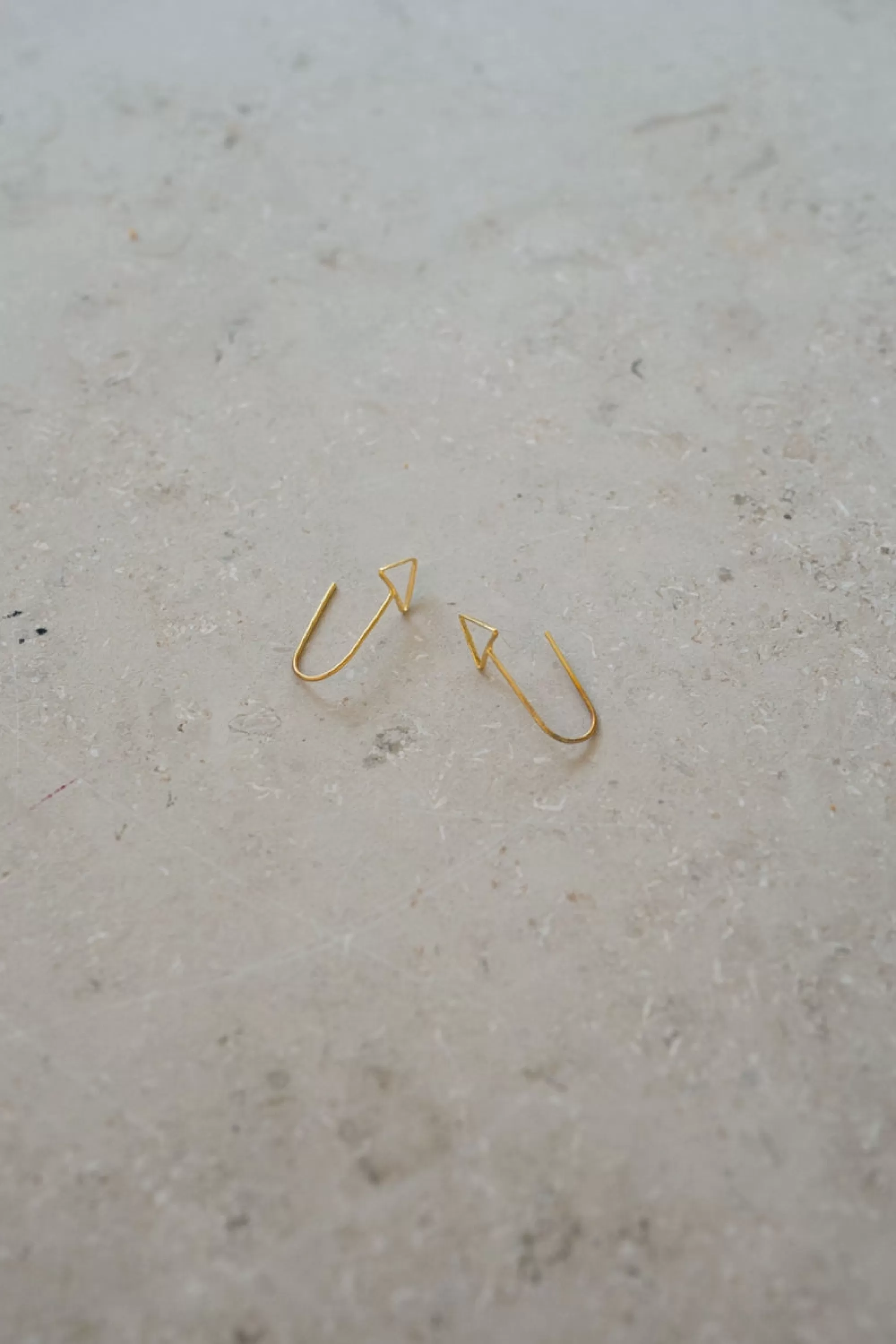 Hot evi earring | Oorbellen | Sieraden