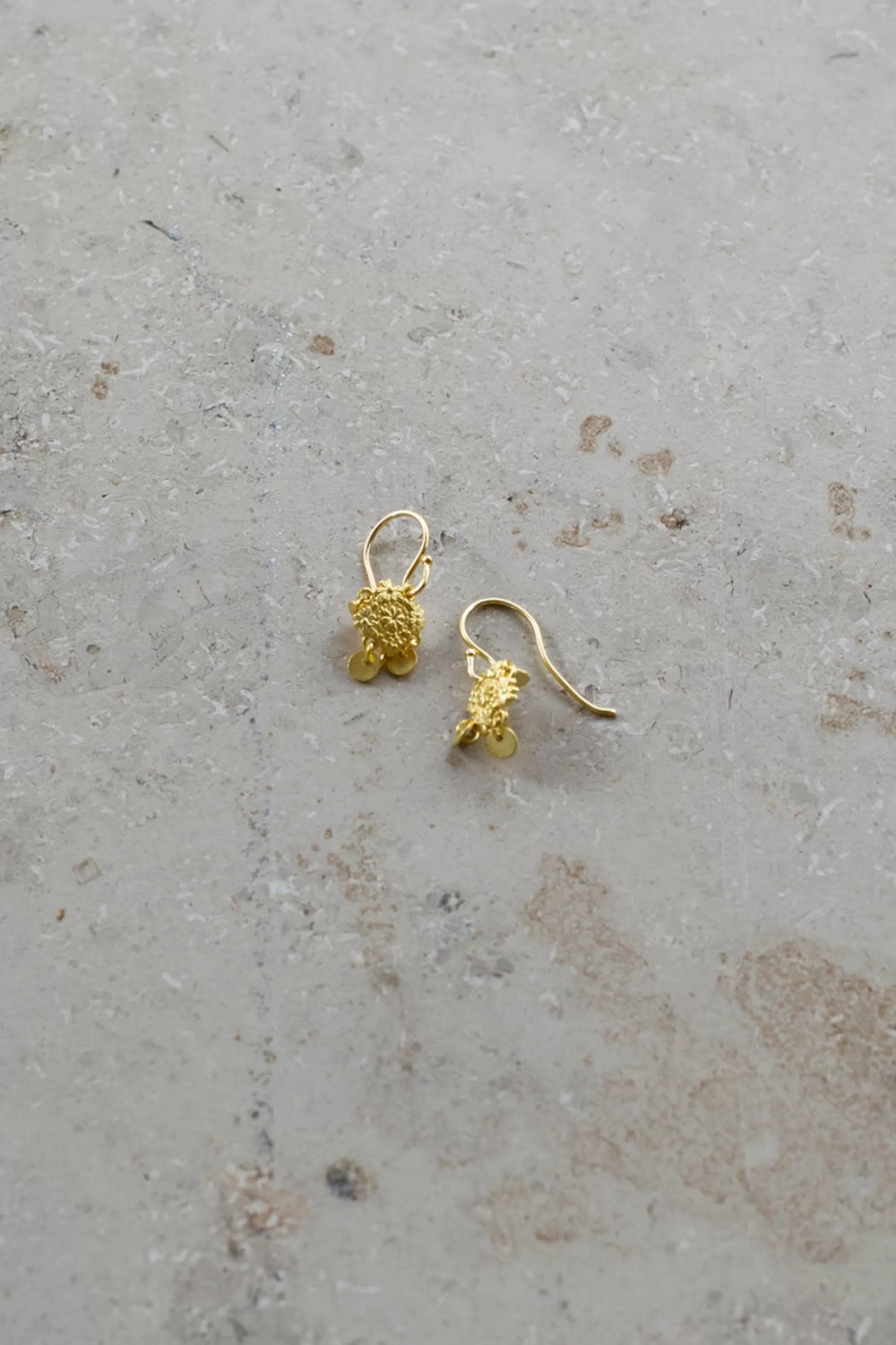 Clearance pd coins | Oorbellen | Sieraden