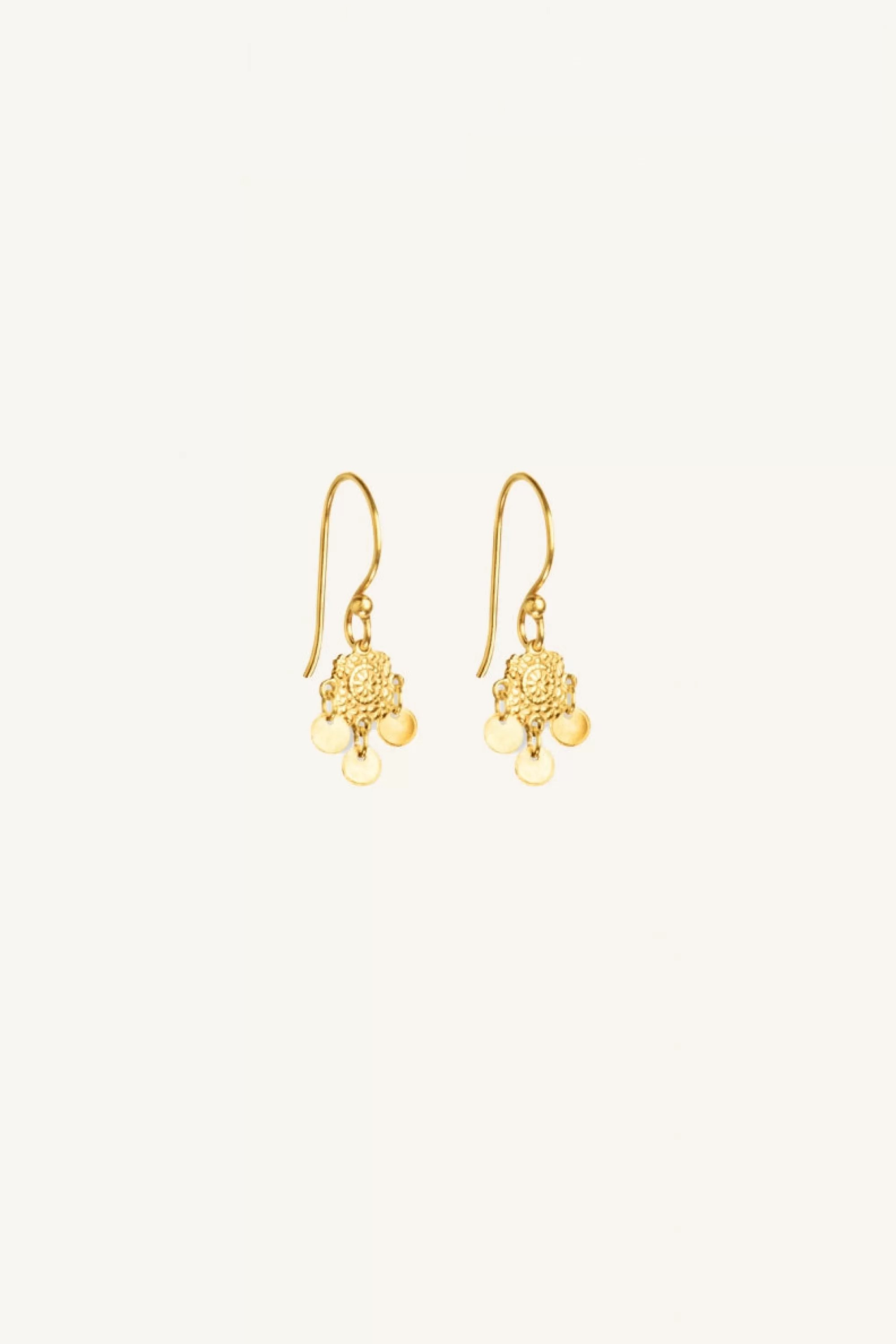 Clearance pd coins | Oorbellen | Sieraden